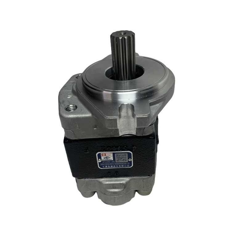 Garantili Çelik Delek Pompası SGP1A32D4H1-1489D R305-601100-000 CPCD30 Forklift için